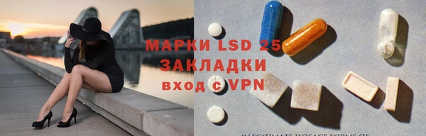 прущие грибы Алексеевка