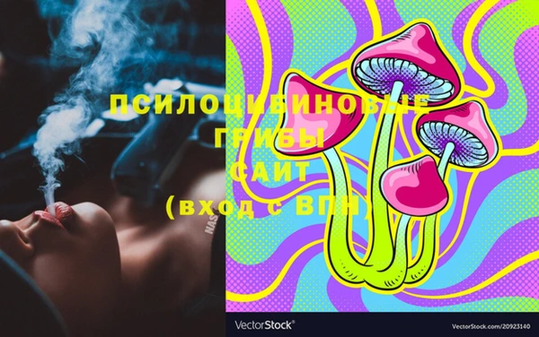 прущие грибы Алексеевка