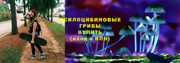 spice Алексин